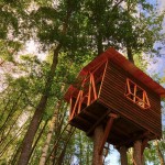 1255431762_tree-house-01 (1)