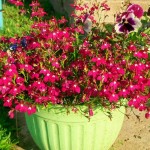 280ad860afd2e23fb6b08dc2bc215057