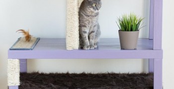 7f1f3addf7c609bdebece6e77414b91160