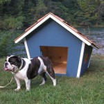 Как-сделать-будку-для-собаки-размеры-чертеж-фото