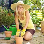 Kogda-mozhno-peresazhivat-cvety20