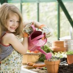 Kogda-mozhno-peresazhivat-cvety22