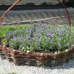 Плетеный-бордюр