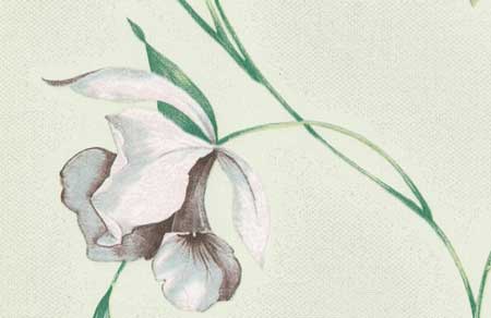 Бумажные обои симплекс Бумажные обои симплекс