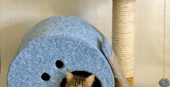 cdaf2fc6dff1360657a102d310d58960f6