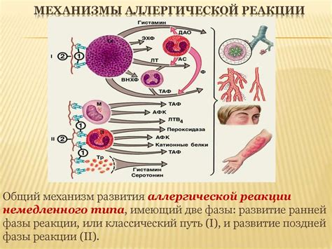 Влияние аваскулярного образования на организм