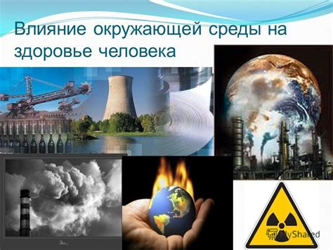 Влияние окружающей среды на поведение мальчиков