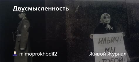 Двусмысленность анлаки