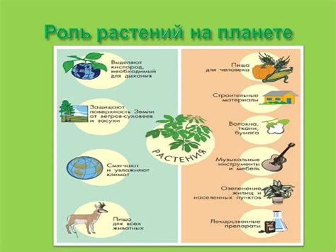 Имаго: сущность и роль в нашей жизни