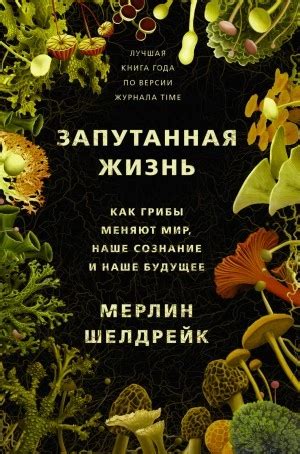 Имаго и наше самоощущение