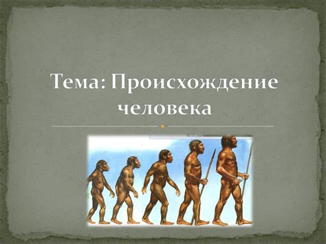История происхождения анлаки