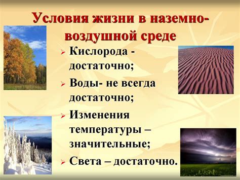 Каковы особенности импрофда