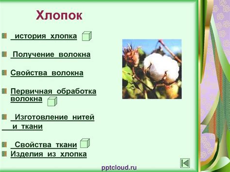 Происхождение и история термина Bomboclat