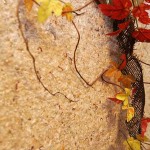 Жидкие обои: дизайн интерьера. Как правильно клеить - Фото