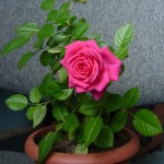 главнаяяяя