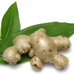 Ginger root