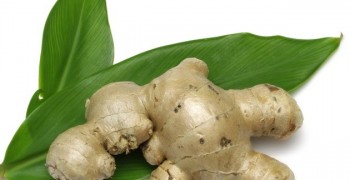 Ginger root