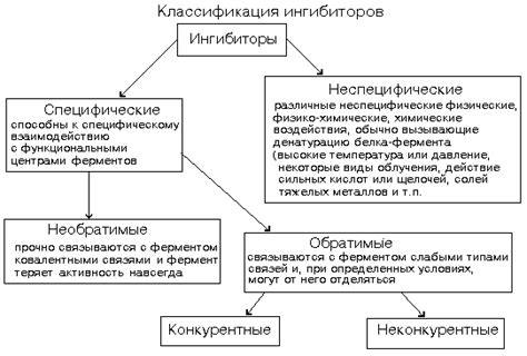 Биологическая роль металлов: от ионов до ферментов