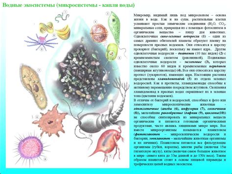 Биомы и спавн жителей