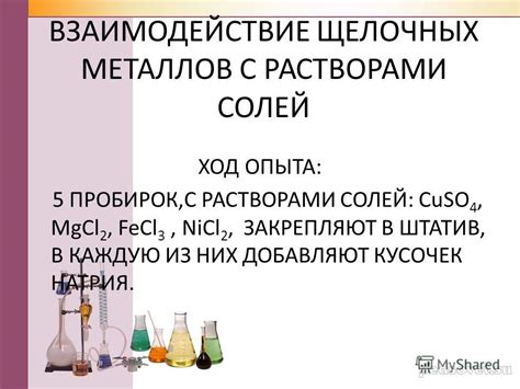 Взаимодействие щелочных металлов с кислотами: образование солей