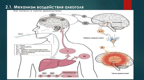 Влияние Тералиджена на организм