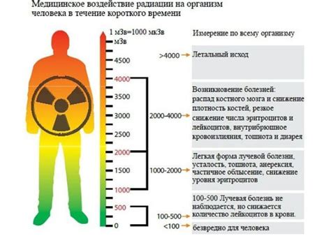 Влияние иода на организм человека