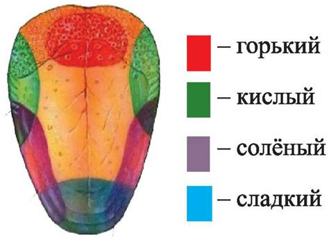 Влияние концентрации на восприятие вкуса