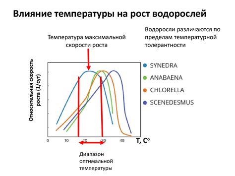 Влияние температуры на объем пары металлов