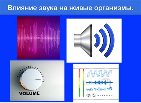 Влияние щелкающих звуков на телефон и пользователей