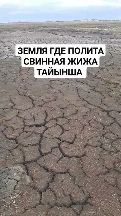 Где искать жижу