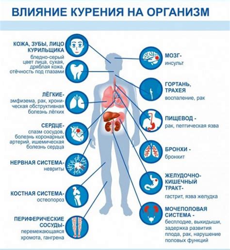 Действие нифуратела на организм