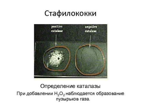 Дефект №1: Образование пузырьков газа