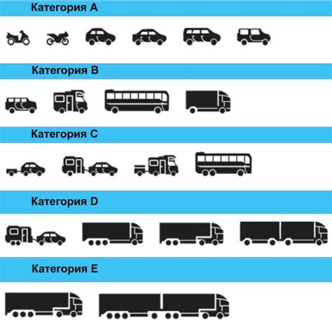 Значение грузового прочего в ПТС