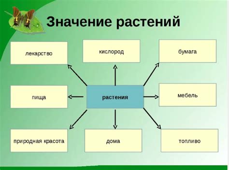 Значение движения волос для человека