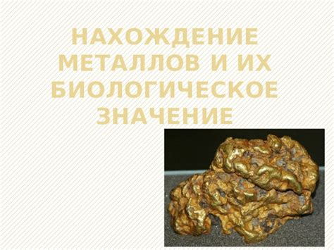 Значение драгоценных металлов в экономике