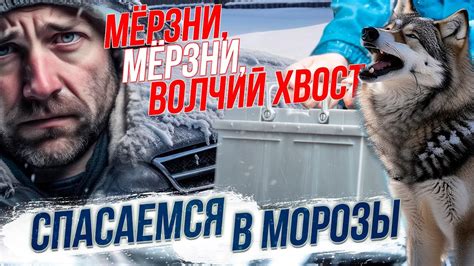 Как зимний мороз влияет на металл: риск хрупкости