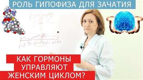 Как изменения мотиваций героев влияют на Дэнни