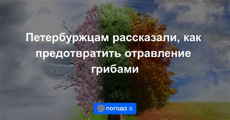 Как предотвратить отравление попугаев металлами