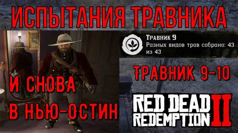 Как пройти испытание травника в Red Dead Redemption 2