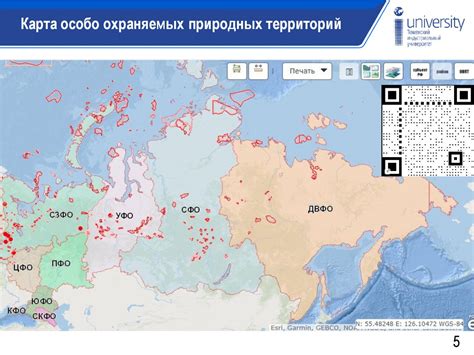 Карты с особыми условиями для совместного выживания