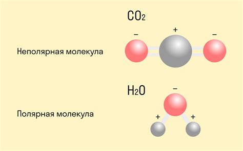 Ковалентные связи в структуре щелочных металлов и их значение: