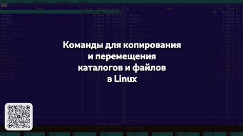 Команда /clone для копирования и перемещения строений