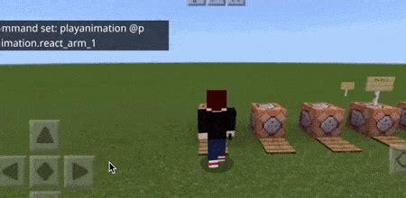 Команда play animation в Minecraft