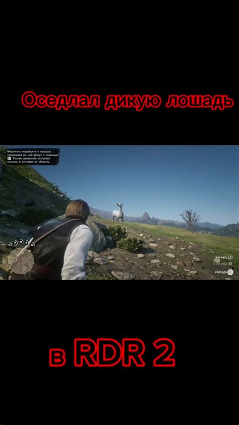 Куда продавать лошадь в RDR2