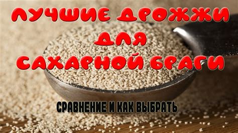 Лучшие альтернативы мрамору для браги