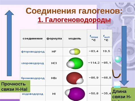 Магний и соляная кислота: взаимодействие и их важность