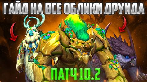 Медвежий облик друида в WOW