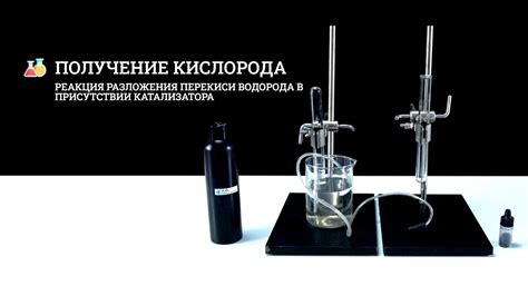 Металлы, способные растворяться в перекиси водорода
