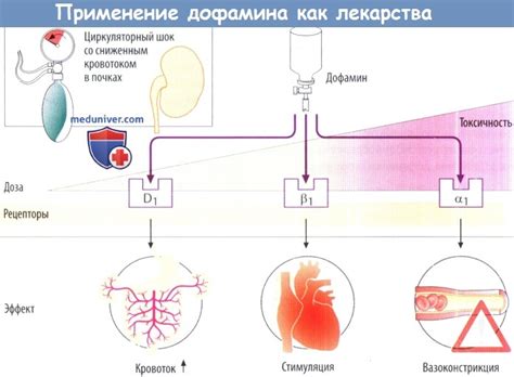 Механизм действия фукорцина и его основные преимущества