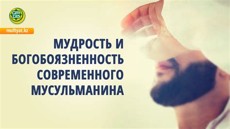 Мудрость и ответы